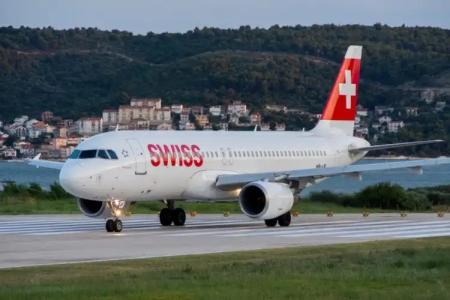 Tragos Lemon Tree - 95