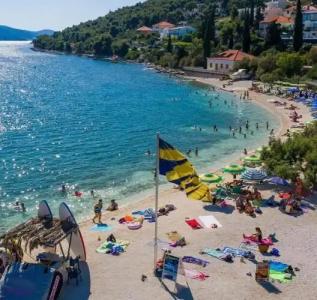 Tragos Lemon Tree - 12