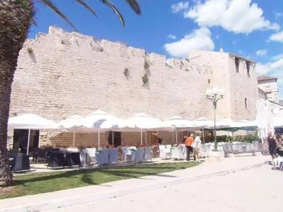 Tragos Lemon Tree - 28