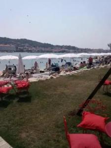 Tragos Lemon Tree - 13