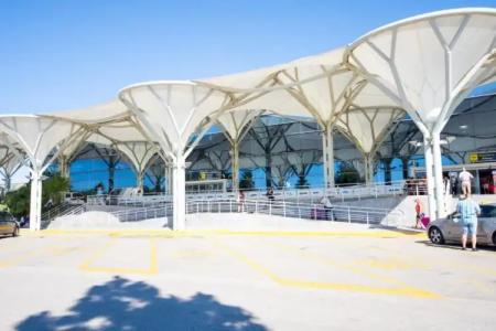 Tragos Lemon Tree - 58