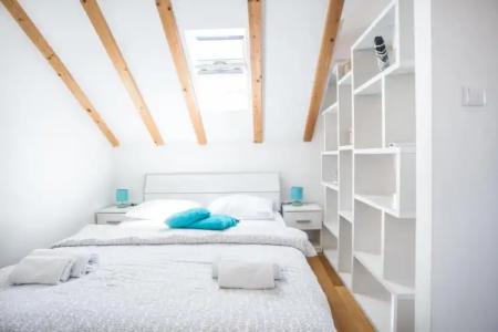 Tragos Lemon Tree - 62