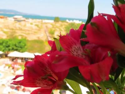 Sirena- ALL INCLUSIVE - 15