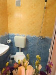 Sirena- ALL INCLUSIVE - 49