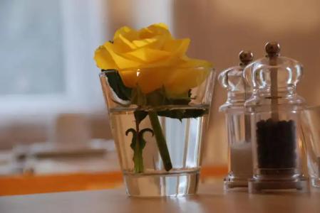 The Bed + Breakfast - 12