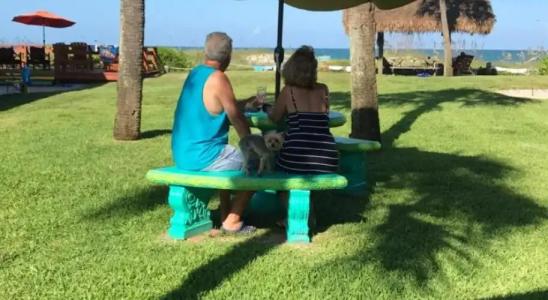 South Beach Inn - Cocoa Beach - 13