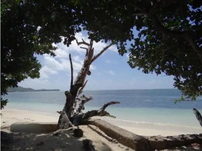 Villa with 3 Bedrooms in Seychelles, with Wonderful Mountain View, Pri - 4