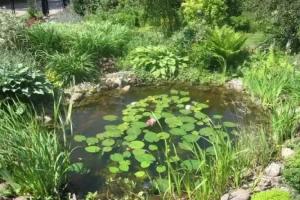 Usadba Paulinka Guest house