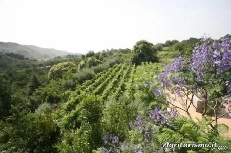Agriturismo Etna-Mare - 28