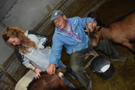 LH Albergo Il Picchio - 35