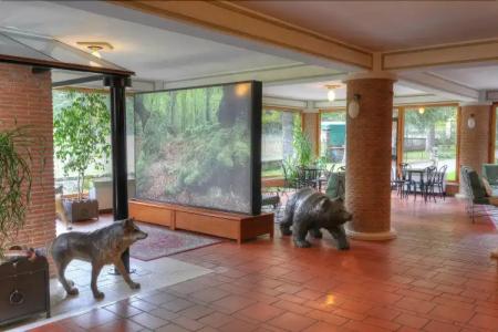 LH Albergo Il Picchio - 25