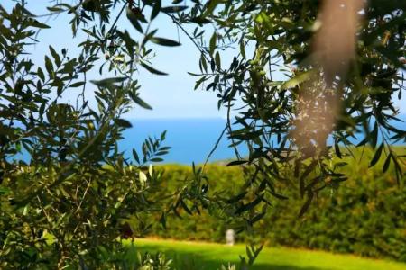 Casale del Mare - 69