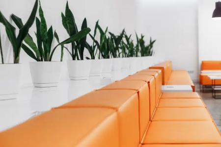 Orange - 8