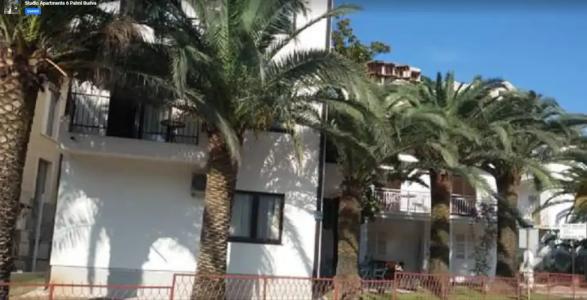 Studio Apartments 6 Palmi - 0