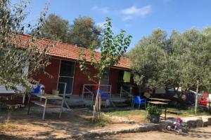 Hotel «Gunes tatil köyü», Bademli