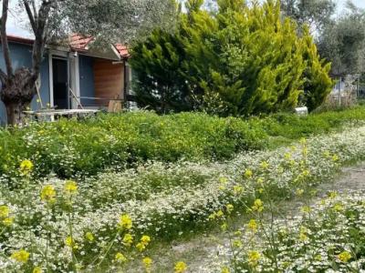 Gunes tatil köyü - 15