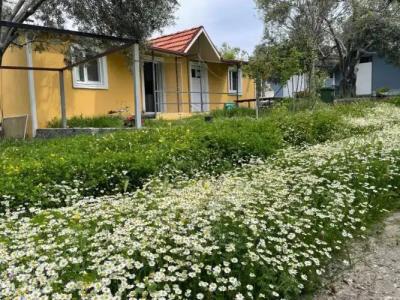 Gunes tatil köyü - 8