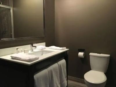 Del Sol, Boutique Phoenix Airport - 5