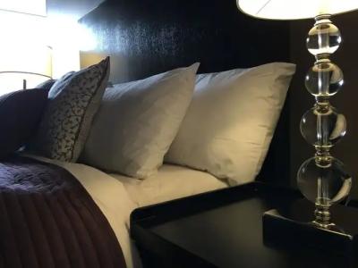 Del Sol, Boutique Phoenix Airport - 0