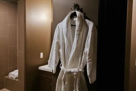 Del Sol, Boutique Phoenix Airport - 7