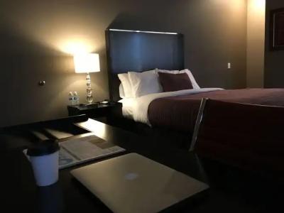 Del Sol, Boutique Phoenix Airport - 3