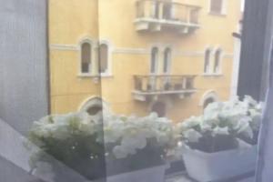 Maison Fleurie, Pescara