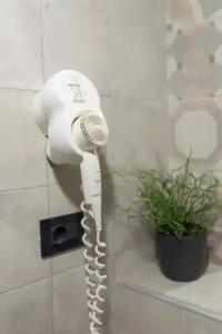 Apartments Korta - 250