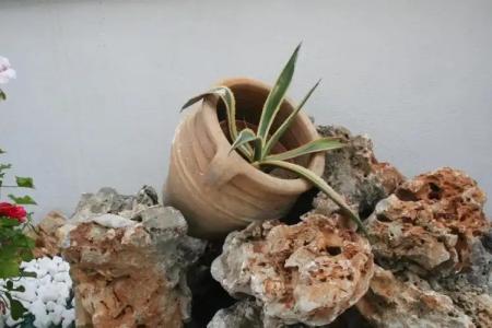 Pantheon Deluxe Apartments - 34