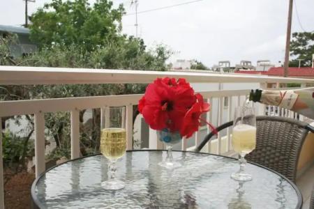 Pantheon Deluxe Apartments - 55