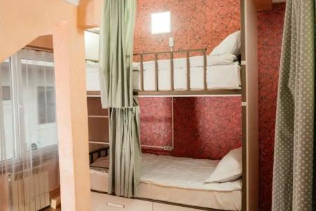 Hostel Botanical - 3