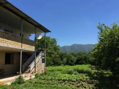 Olya Guest house - 10