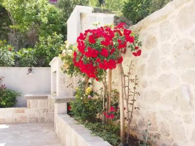 Villa Kate - 6