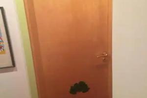 The Cedar Apartment, Omegna