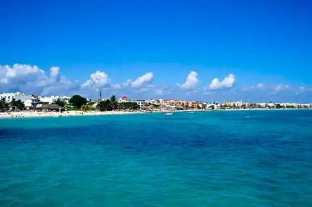 Complex Lemon Grove - 13