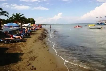 Complex Lemon Grove - 11