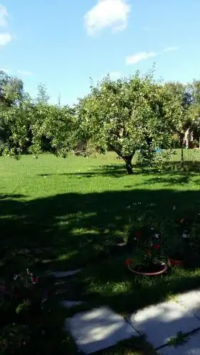 Karikakra Holiday Home - 19
