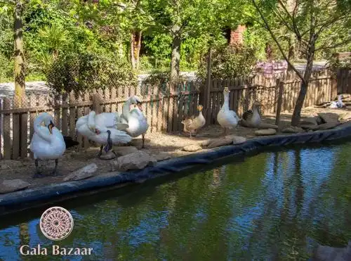 Gala Bazaar Guest House Baku - 10