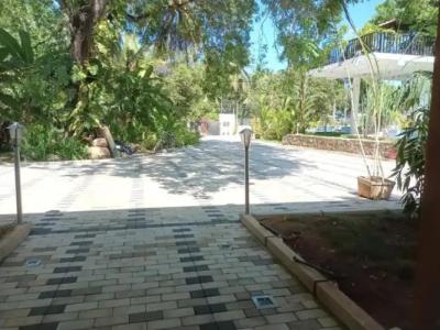 Lucky Beach Resort - 13