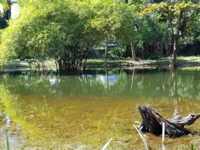 Lucky Beach Resort - 42