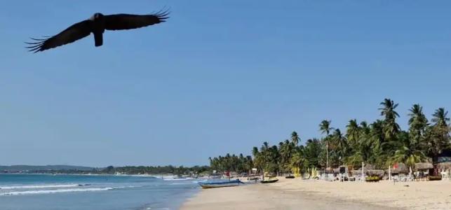 Lucky Beach Resort - 36