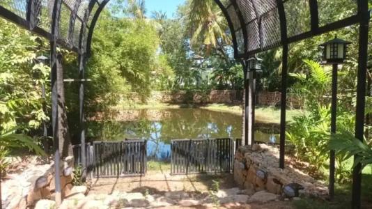 Lucky Beach Resort - 47