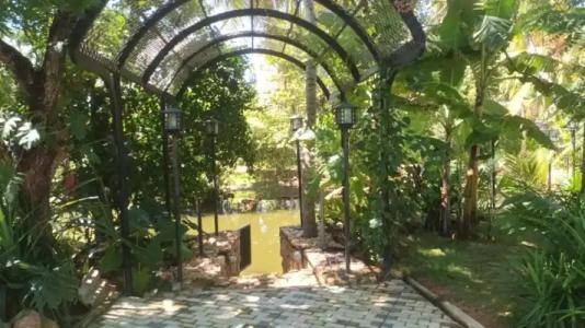 Lucky Beach Resort - 21