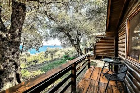 Holiday Park Olive Tree - 19