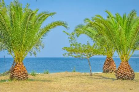 Inspira Boutique -Adults Only - 16