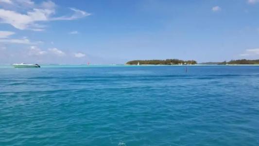 Chez Johnny - Blue Bay - 0