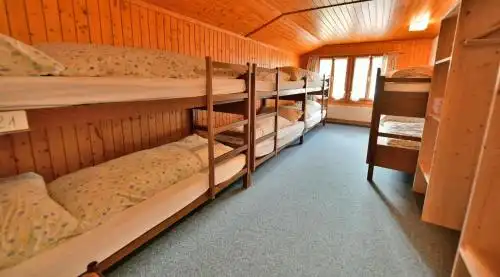 Mountain Chalet With Garden & Parking in Grindelwald - 27