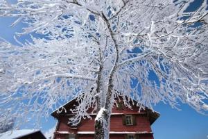 Hotel Wetterhorn, Grindelwald