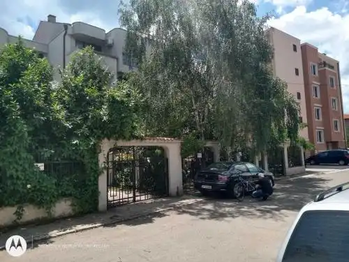 Dvete Brezi - 3
