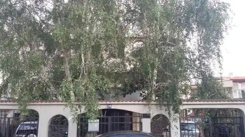Dvete Brezi - 20