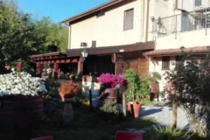 Zimmer Buffalo, Vezzano Ligure